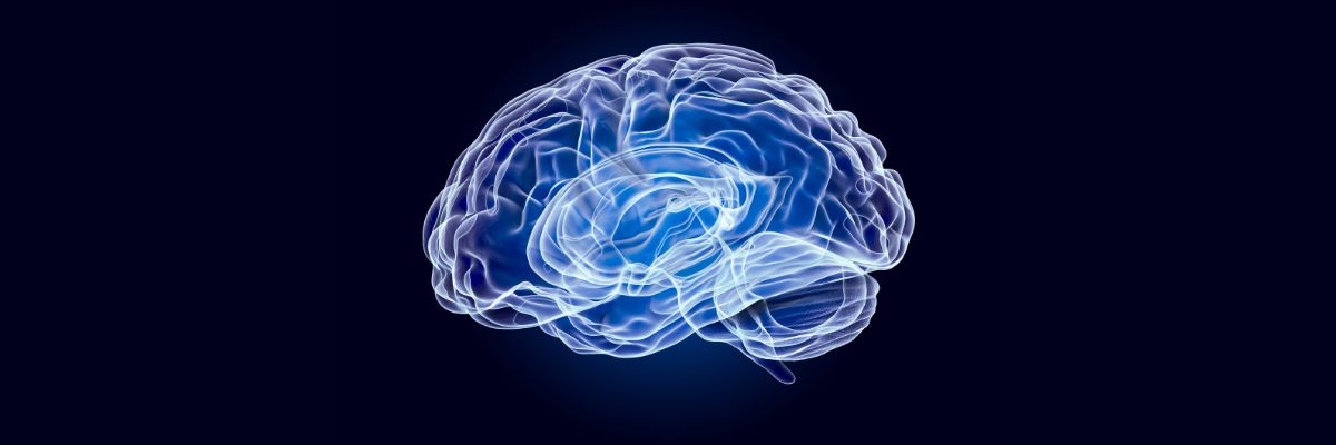 Best Nootropics for Students: Enhance Focus and Memory Naturally
