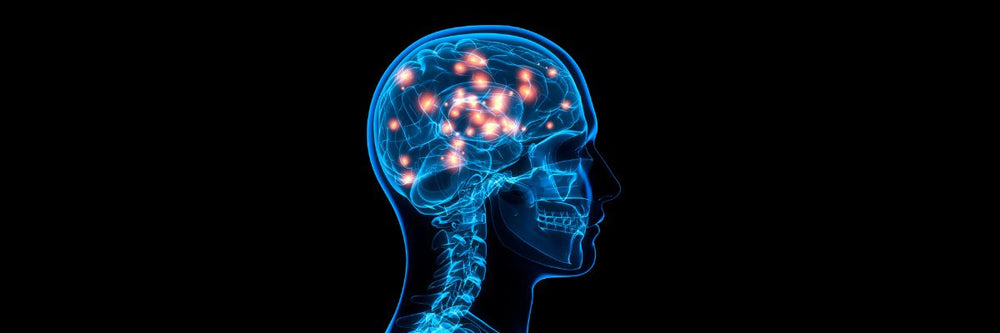 The Science Behind Nootropics: How Natural Ingredients Can Improve Cognitive Function