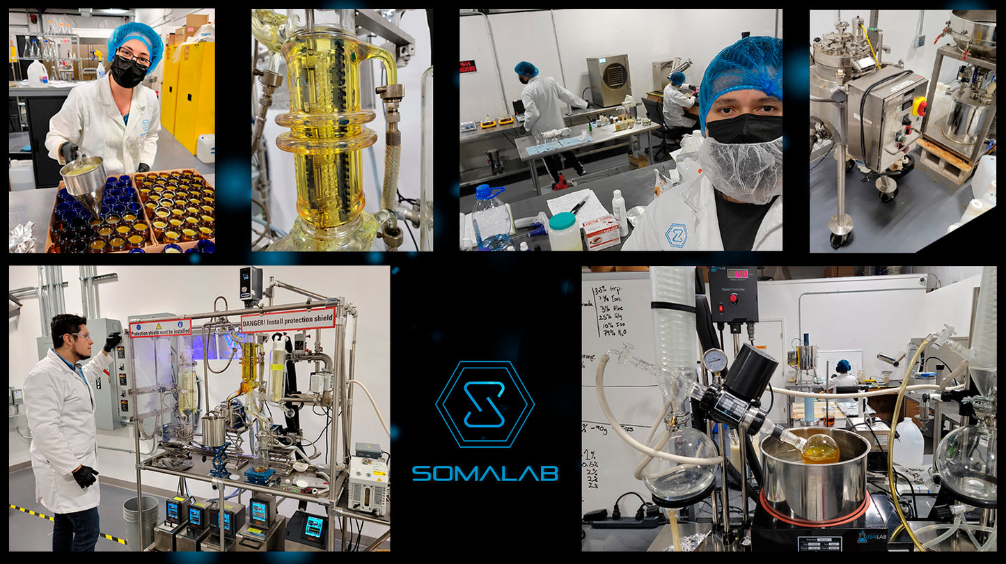 Somalab International LLC